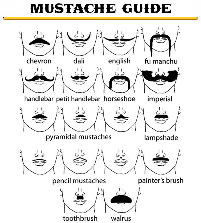 The 13 Most Popular Mustache Styles