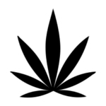 icone for hemp cannabis oil
