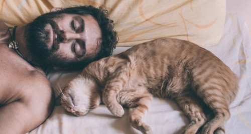 Here is a bearded man sleeping with his cat