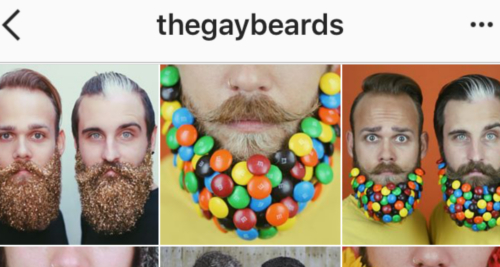 instagram @thegaybeards