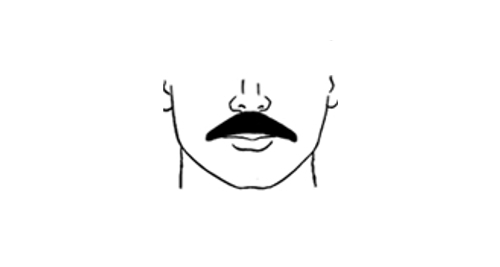 Voici la moustache de style chevron