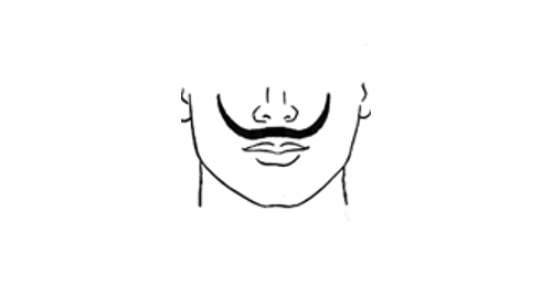 Here is the Dali style mustache