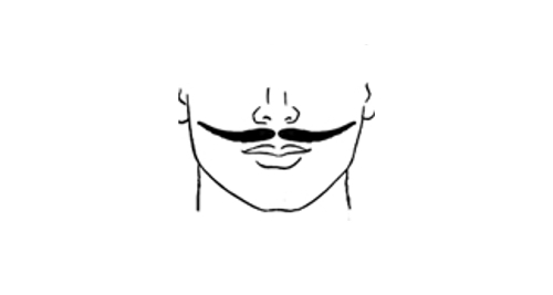 Here is the English style mustache