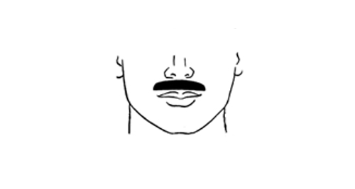 Voici la moustache de style Painter's Brush