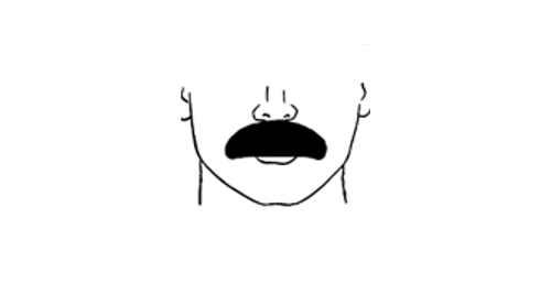 Here is the walrus mustache style