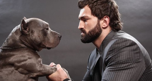 Here is a bearded man with his pitbull