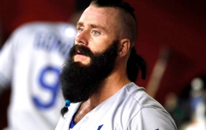 brian wilson impressive ponytail beard