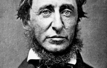 Henry David Thoreau with neckbeard